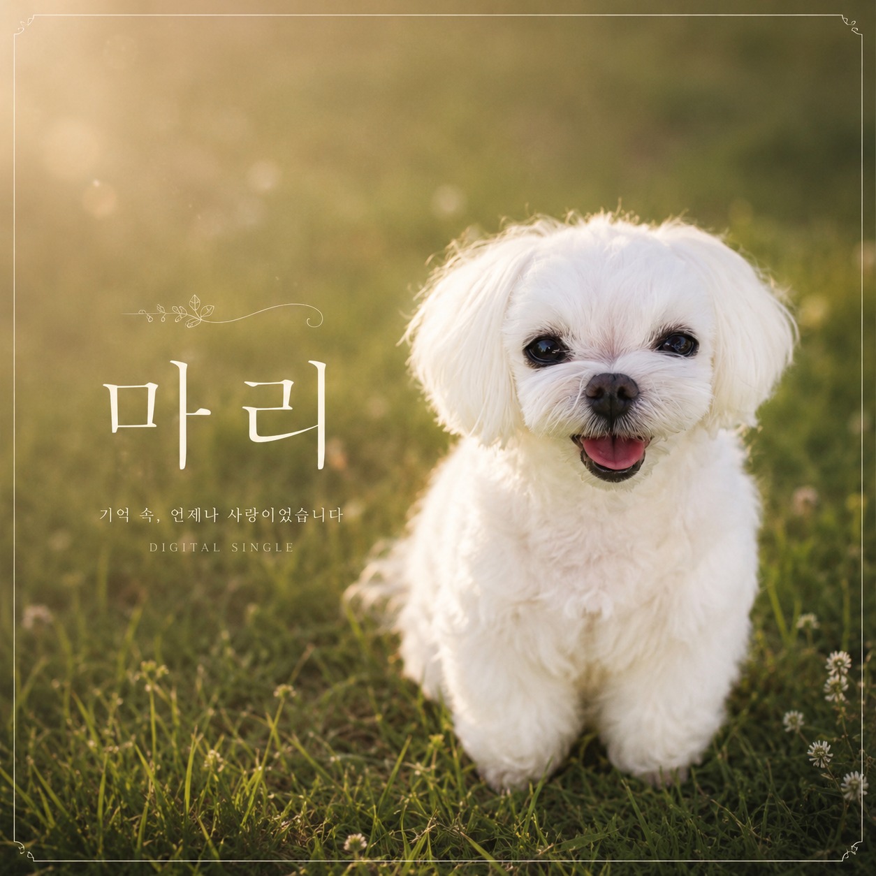 마리 - 뮤빙 스토리송 커버
